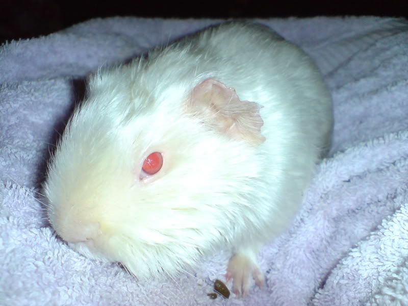 DSC00140.jpg