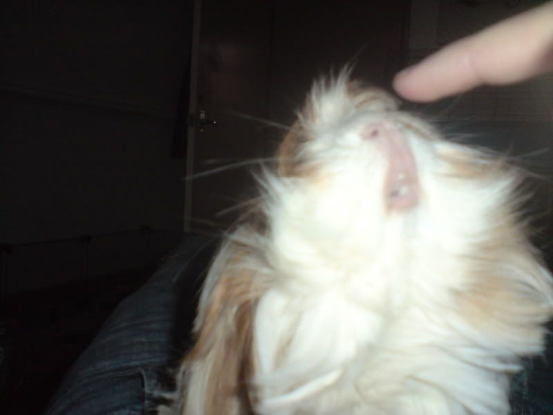 DSC00195-1.jpg