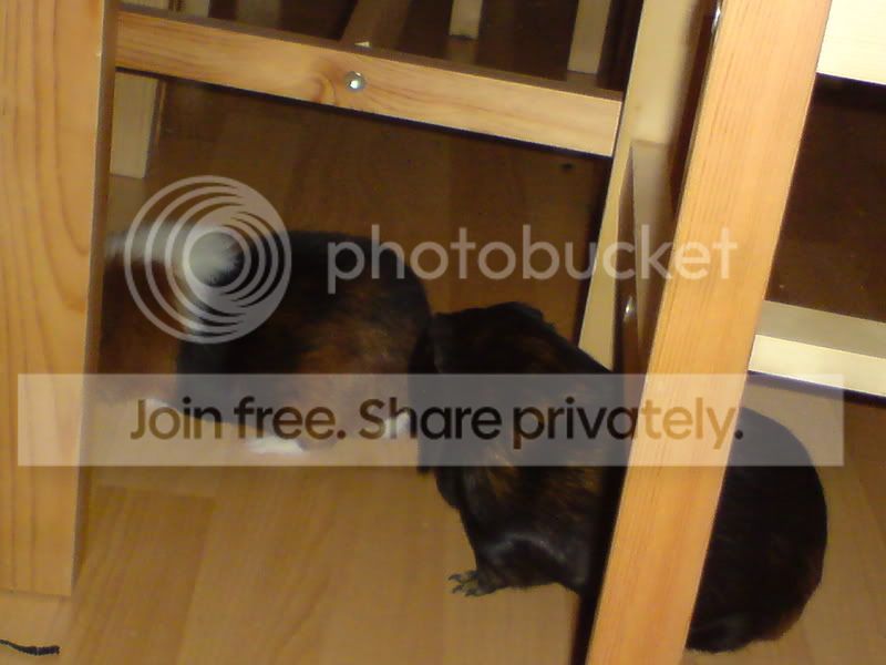 DSC00195.jpg