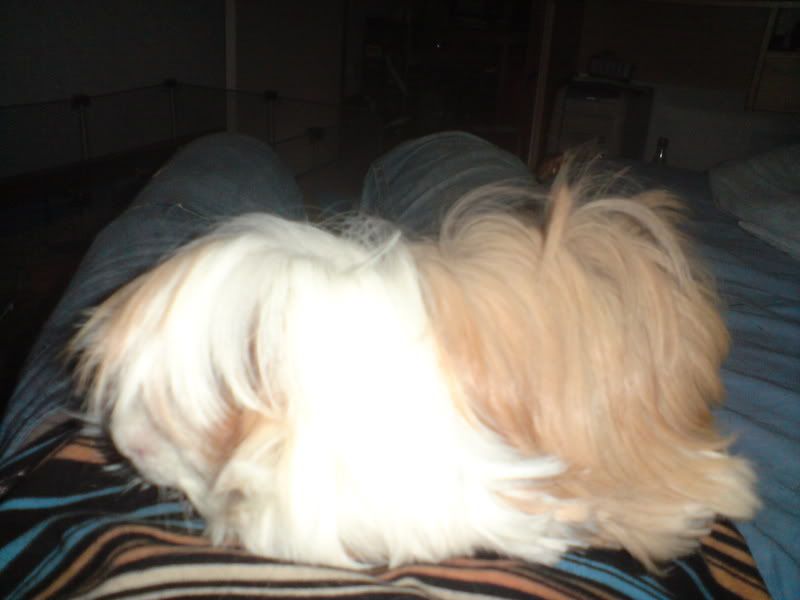 DSC00208.jpg