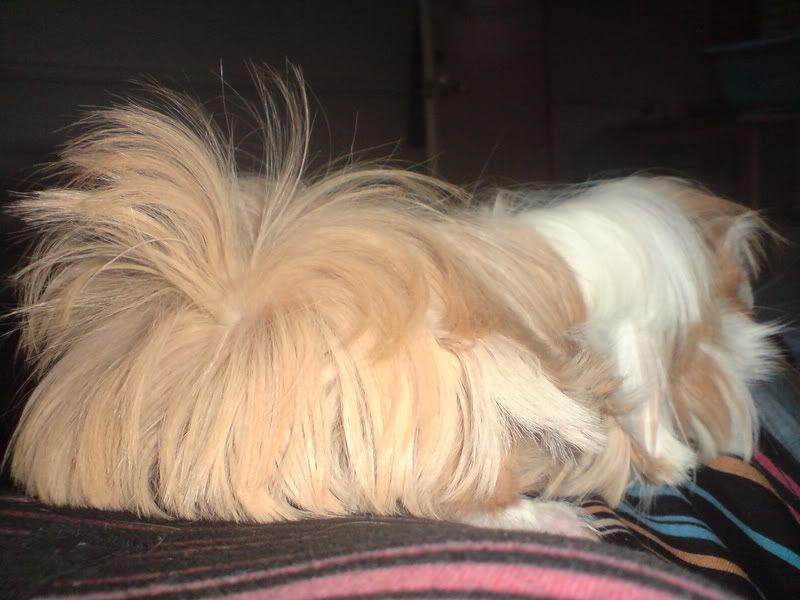 DSC00209-2.jpg