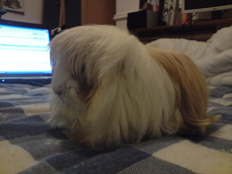 DSC00289-1.jpg