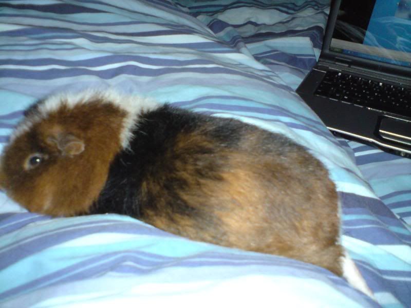 DSC00334-2.jpg