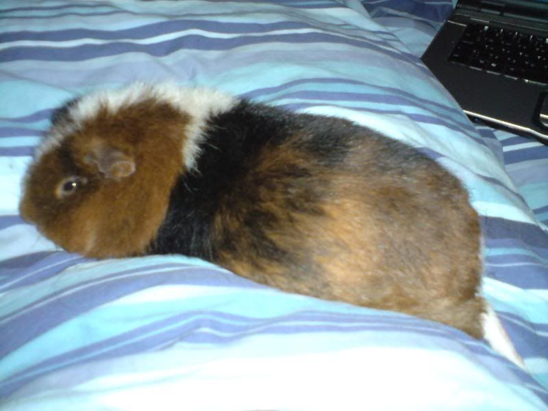 DSC00335-1.jpg
