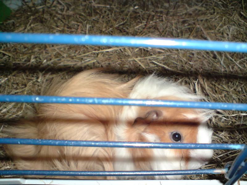 DSC00335.jpg