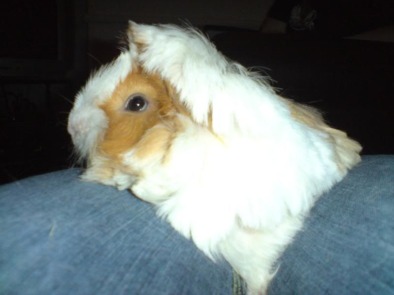 DSC00373.jpg