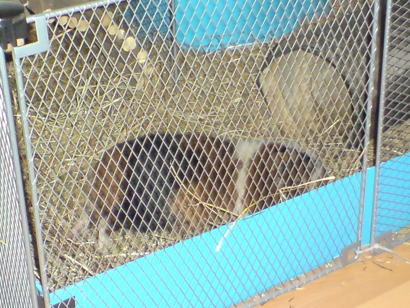 DSC00401.jpg