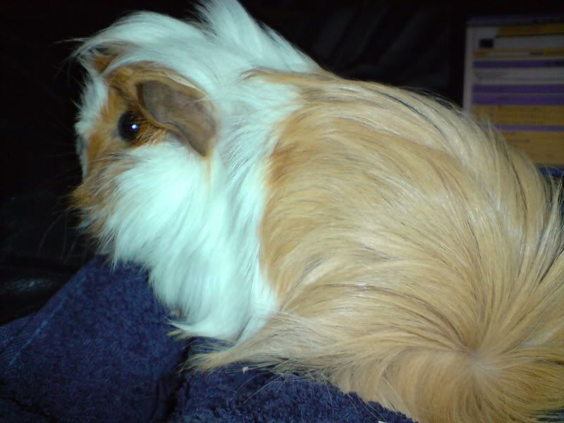 DSC00432.jpg