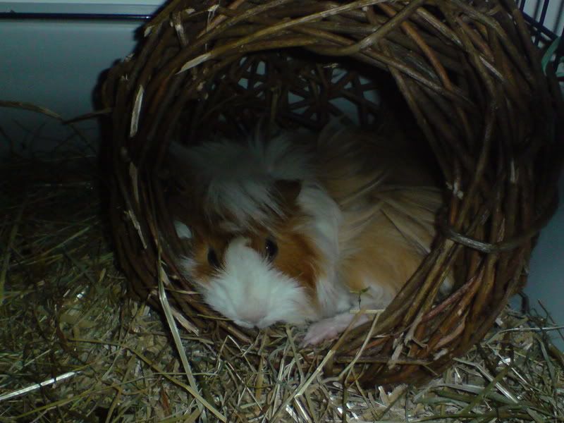 DSC00522.jpg