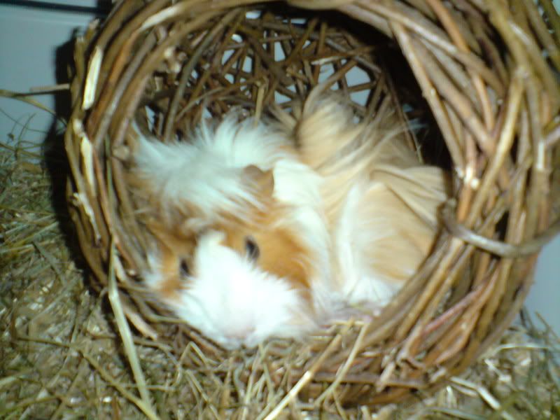 DSC00524.jpg