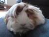 DSC00648.jpg