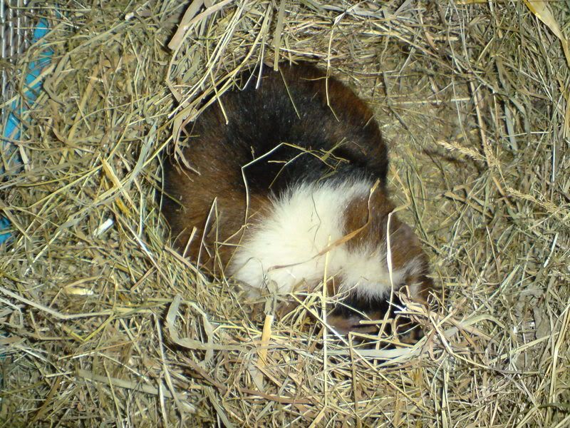 DSC00657.jpg