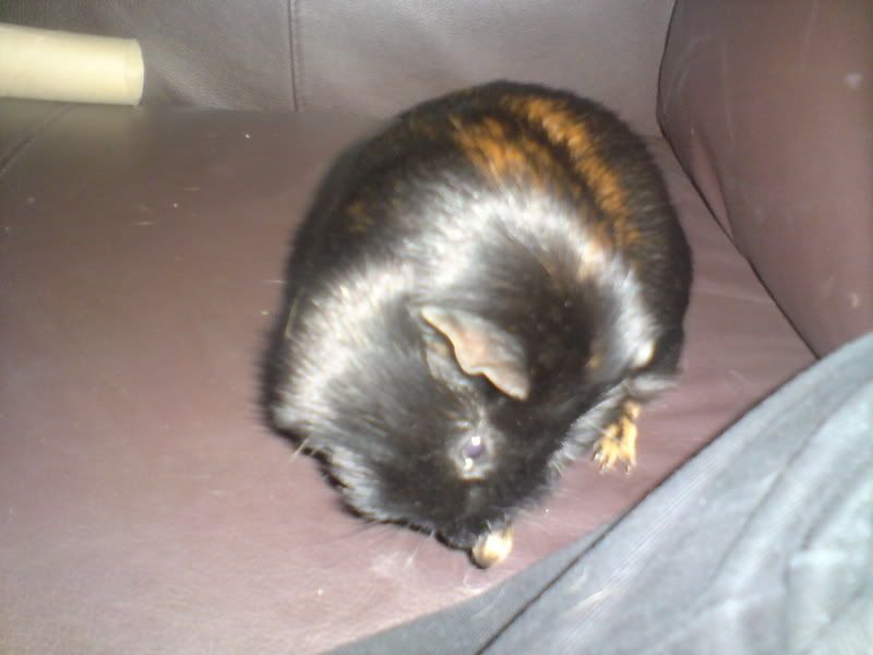 DSC00811.jpg