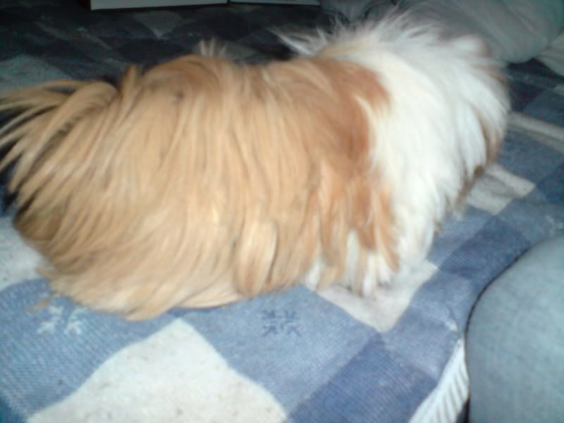 DSC00837.jpg
