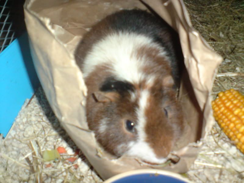 DSC00843.jpg