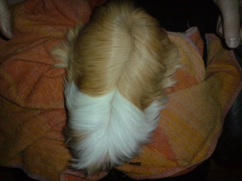 DSC00906.jpg