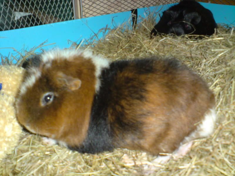DSC00927.jpg