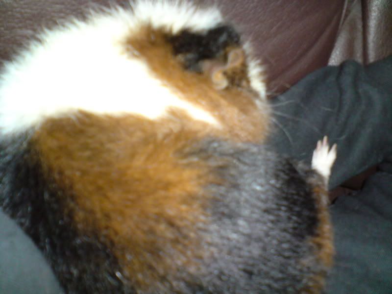 DSC00978.jpg