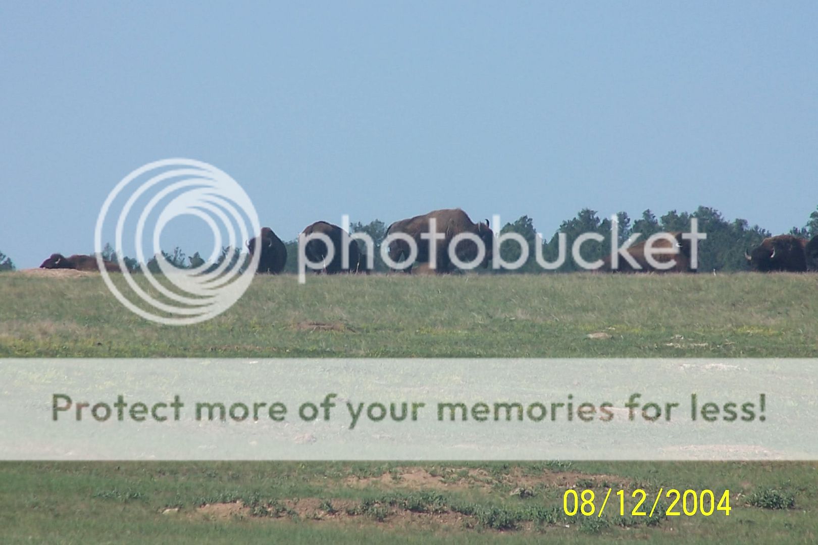 Photobucket - Video and Image Hosting